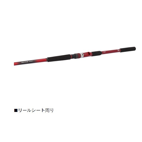 24アナリスターヤリイカ